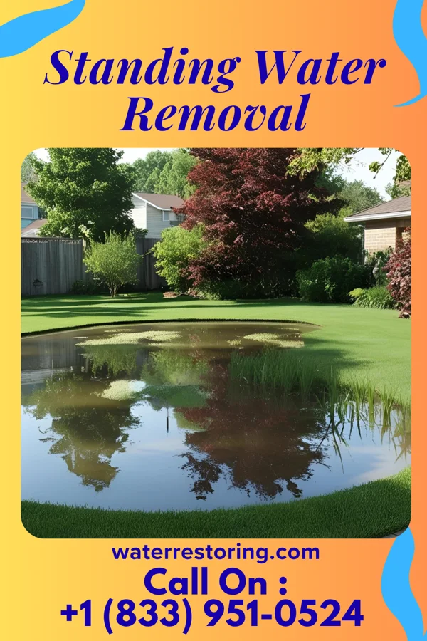 Standing Water Removal in Leitchfield, KY